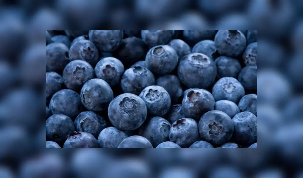 Arándanos Arándanos