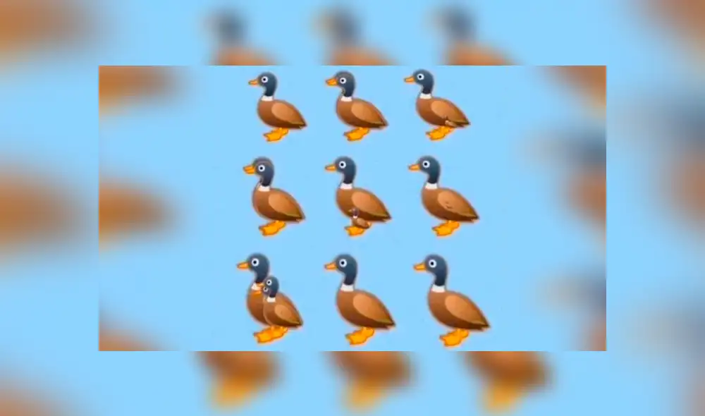 Desliza las imágenes hacia la izquierda para conocer la verdadera respuesta de este nuevo reto visual.