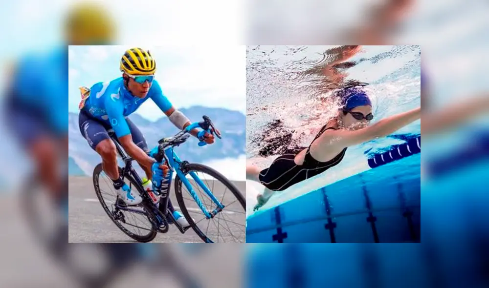 Estudio de la obesidad Estudio de la obesidad