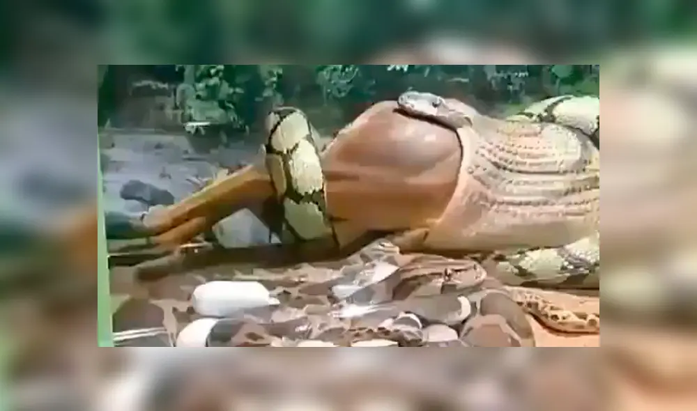 Si quieres ver lo que ocurre en el video viral de YouTube, desliza cada imagen hacia la izquierda. Si quieres ver lo que ocurre en el video viral de YouTube, desliza cada imagen hacia la izquierda.