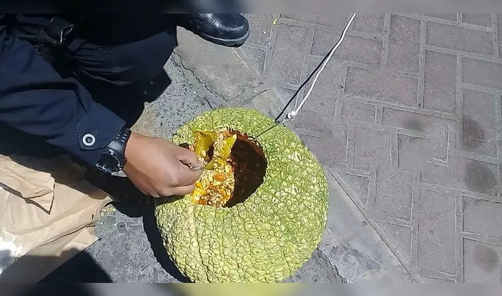 Insólito: Confunden zapallo con explosivo y desatan alarma en calle de Arequipa Insólito: Confunden zapallo con explosivo y desatan alarma en calle de Arequipa