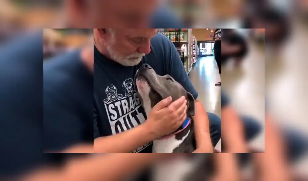 En Facebook, un señor acudió a un albergue de animales para adoptar a un perro y no imaginó la reacción que tendría.