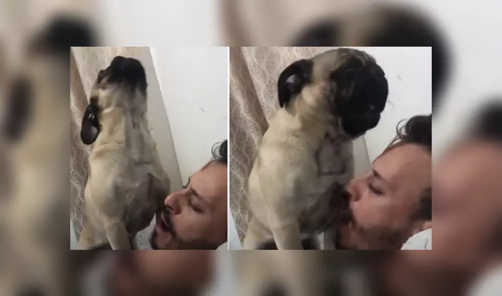 Desliza hacia la izquierda para ver las imágenes del viral de Facebook. Foto: Captura. Desliza hacia la izquierda para ver las imágenes del viral de Facebook. Foto: Captura.