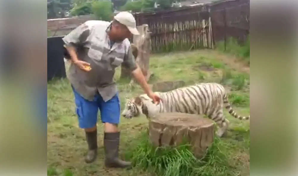 Desliza las imágenes para ver más detalles sobre esta conmovedora historia que es viral en redes sociales. Foto: captura de YouTube