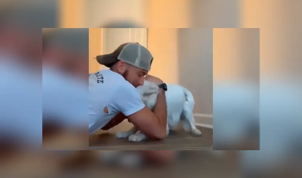 Desliza las imágenes hacia la izquierda para conocer la tierna acción de un joven con su adorada mascota. Desliza las imágenes hacia la izquierda para conocer la tierna acción de un joven con su adorada mascota.