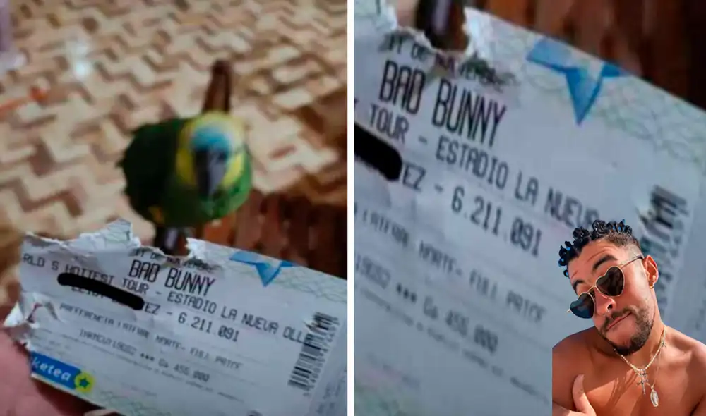 Las imágenes dejaron asombrados a miles de fans del Conejo Malo. Foto: composición LR/captura de Facebook/@Aleinvernizzi