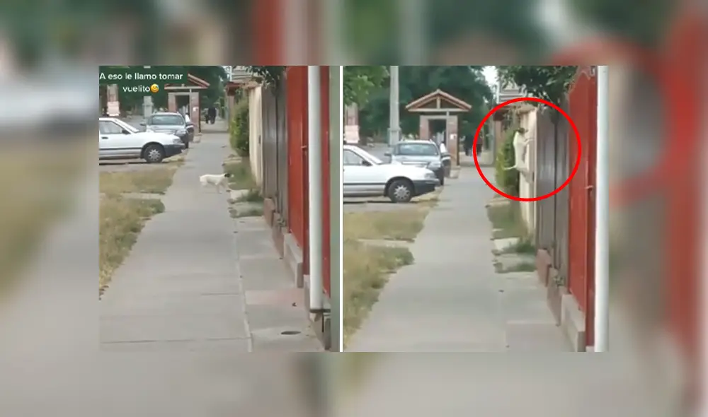 Desliza hacia la izquierda para ver las imágenes del viral de Facebook. Foto: Captura.