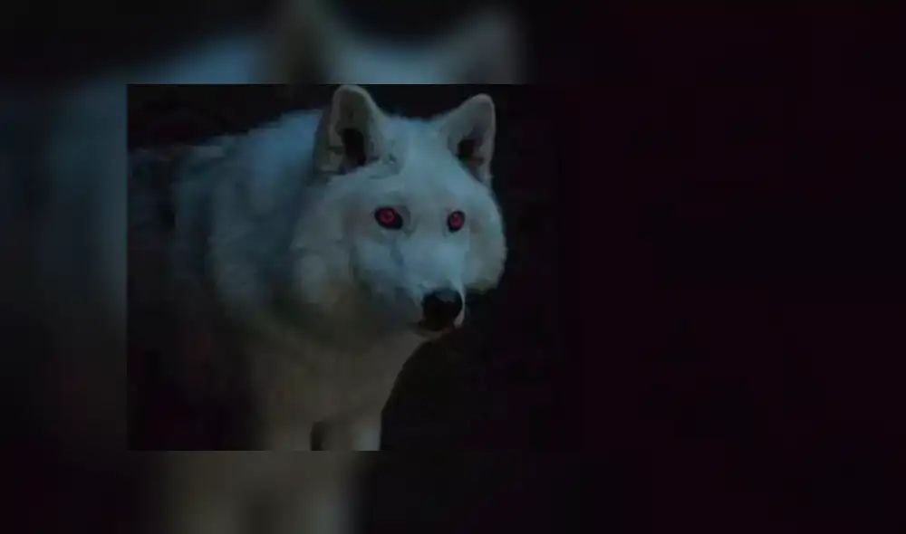Game of Thrones: Ghost salvaría a Jon Snow en la batalla contra el 'Rey de la Noche'