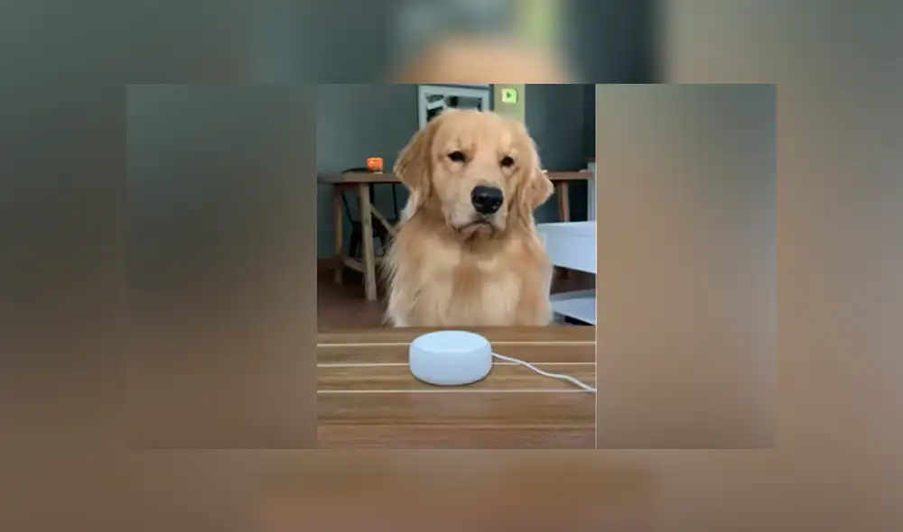 Desliza hacia la izquierda para ver las imágenes del viral de Facebook. Desliza hacia la izquierda para ver las imágenes del viral de Facebook.