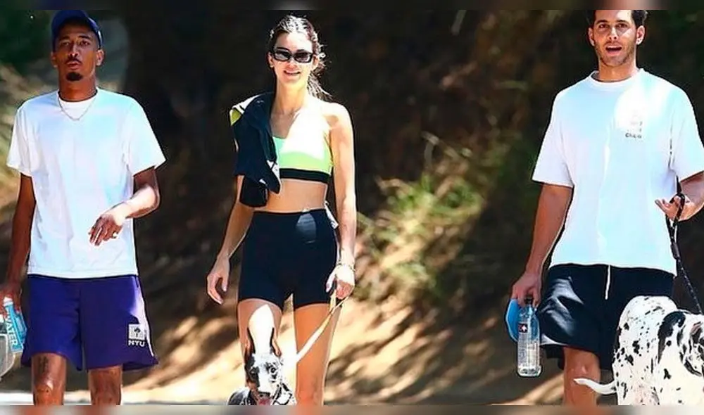 Kendall Jenner, maltrato animal Kendall Jenner, maltrato animal