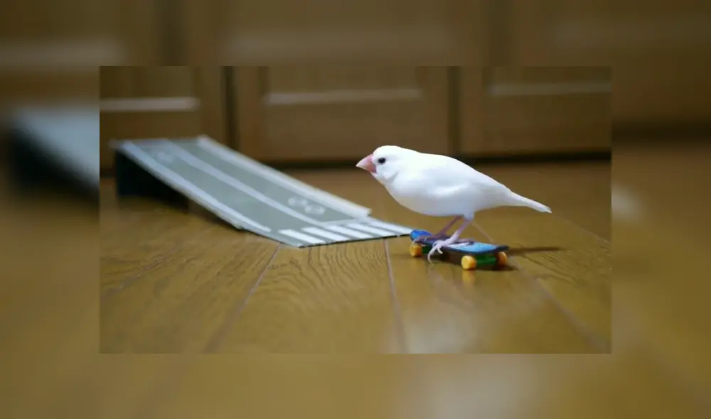 Desliza para ver los detalles del video viral que causa sensación en YouTube. Foto: Captura.