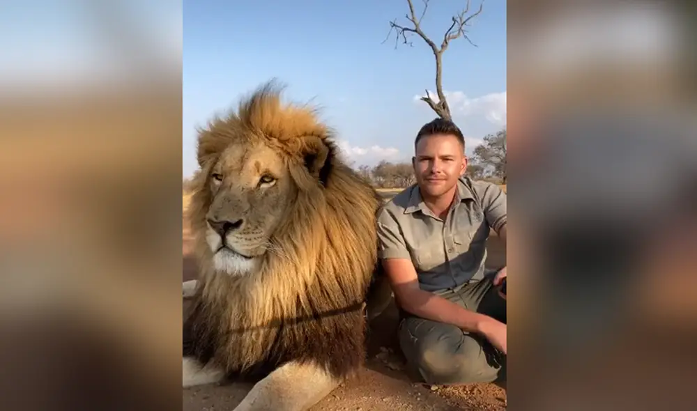 Desliza hacia la izquierda para ver las imágenes del viral más famoso en las redes sociales. Foto: Captura de YouTube