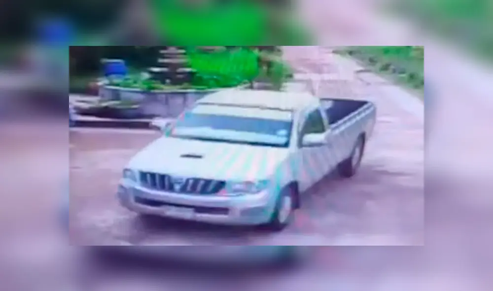 Conductor casi atropella a perro ‘imprudente’, toca claxon y can hace lo impensado [VIDEO] 