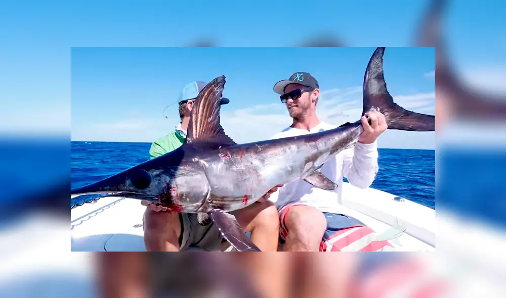 Un video viral de YouTube, captado por un grupo de pescadores deja al descubierto la identidad del gigantesco pez que lograron atrapar.