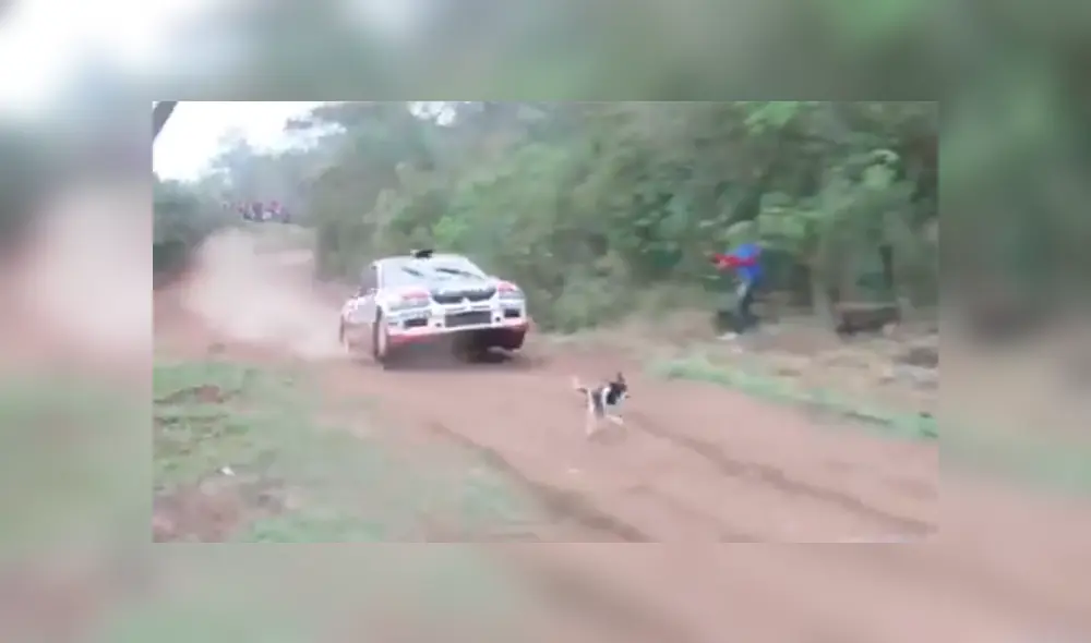 Facebook viral: perro ingresa a pista de carreras y se salva de morir atropellado de forma ‘milagrosa’ Facebook viral: perro ingresa a pista de carreras y se salva de morir atropellado de forma ‘milagrosa’