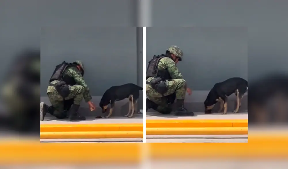 Desliza las imágenes para observar la admirable acción del agente policial para brindar ayuda a un perro callejero. Desliza las imágenes para observar la admirable acción del agente policial para brindar ayuda a un perro callejero.