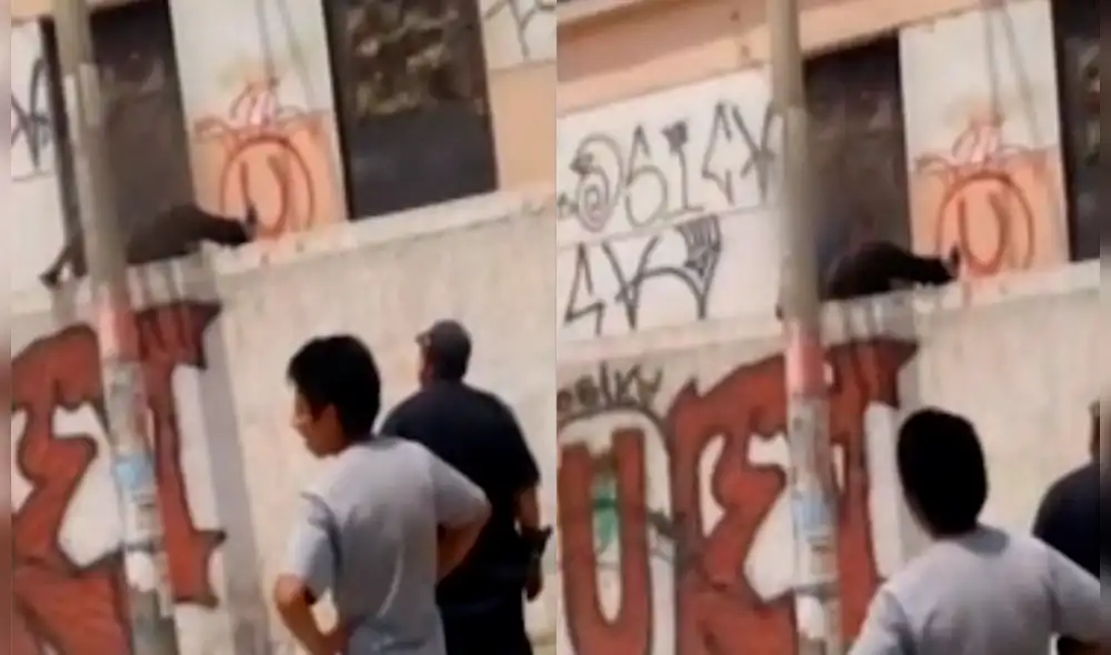 El menor relató las agresiones de las cuales es víctima. (Foto: Captura video)