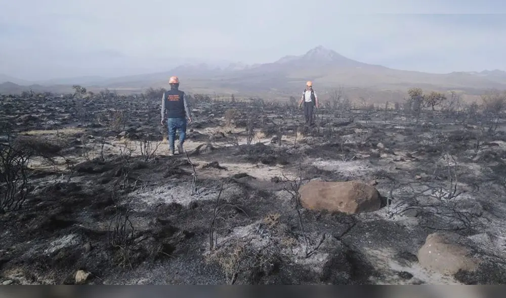 Incendio forestal arrasa con 5 hectáreas de pastizales en Polobaya. Incendio forestal arrasa con 5 hectáreas de pastizales en Polobaya.