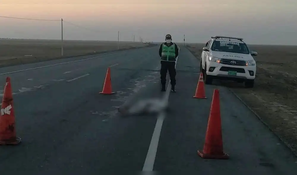 Muerte en la Panamericana Muerte en la Panamericana