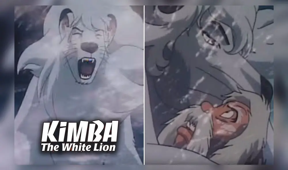 El triste final de Kimba, el león blanco. Créditos: Composición