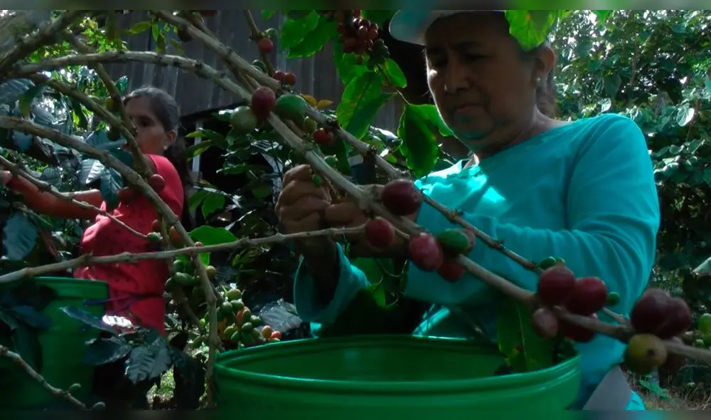 Café en San Martín