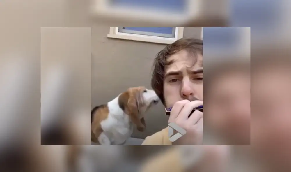 Desliza hacia la izquierda para ver las imágenes del viral de YouTube. Foto: ViralVideoUK. Desliza hacia la izquierda para ver las imágenes del viral de YouTube. Foto: ViralVideoUK.