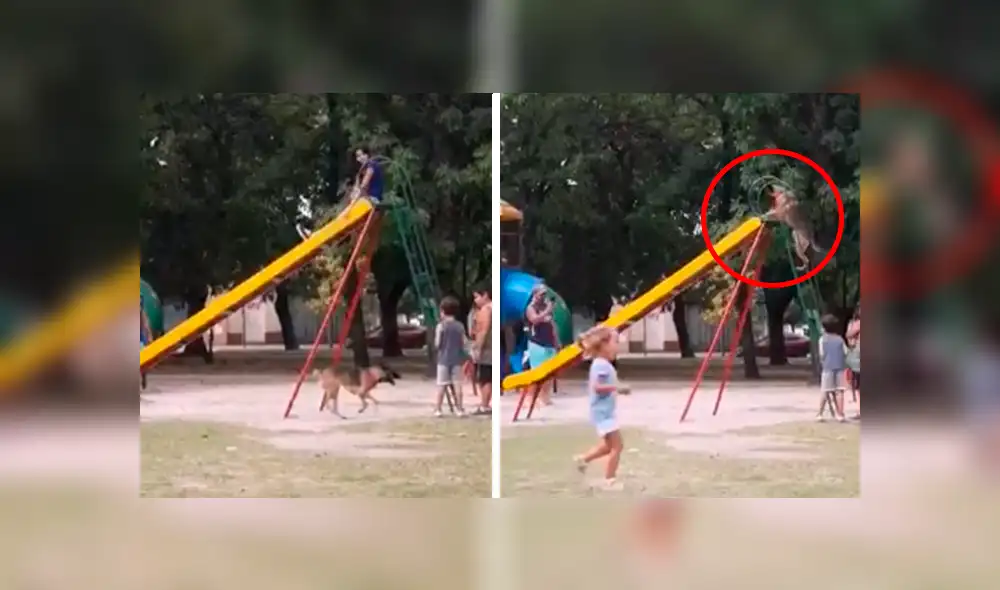 En YouTube, unos niños aprovecharon la ausencia de su madre para ir al parque a jugar con su mascota. En YouTube, unos niños aprovecharon la ausencia de su madre para ir al parque a jugar con su mascota.