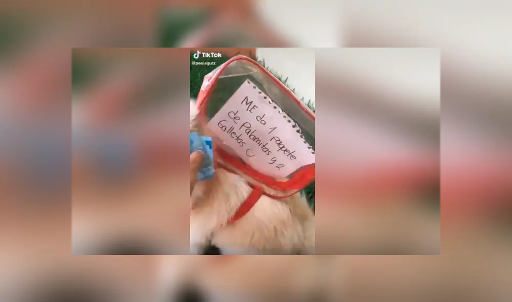 Desliza las imágenes hacia la izquierda para apreciar la conmovedora acción de un perro al obedecer a su dueña.