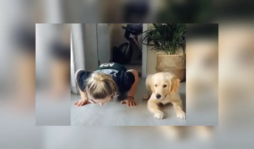 Desliza hacia la izquierda para ver la divertida escena viral de YouTube. Foto: ViralHog. Desliza hacia la izquierda para ver la divertida escena viral de YouTube. Foto: ViralHog.