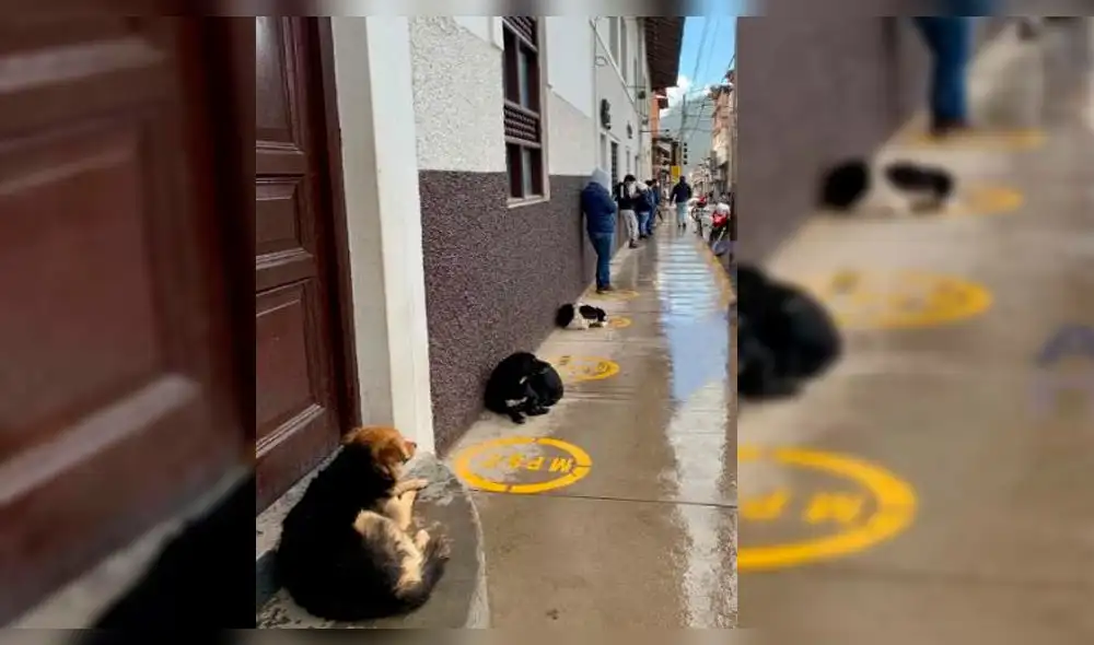 coronavirus coronavirus