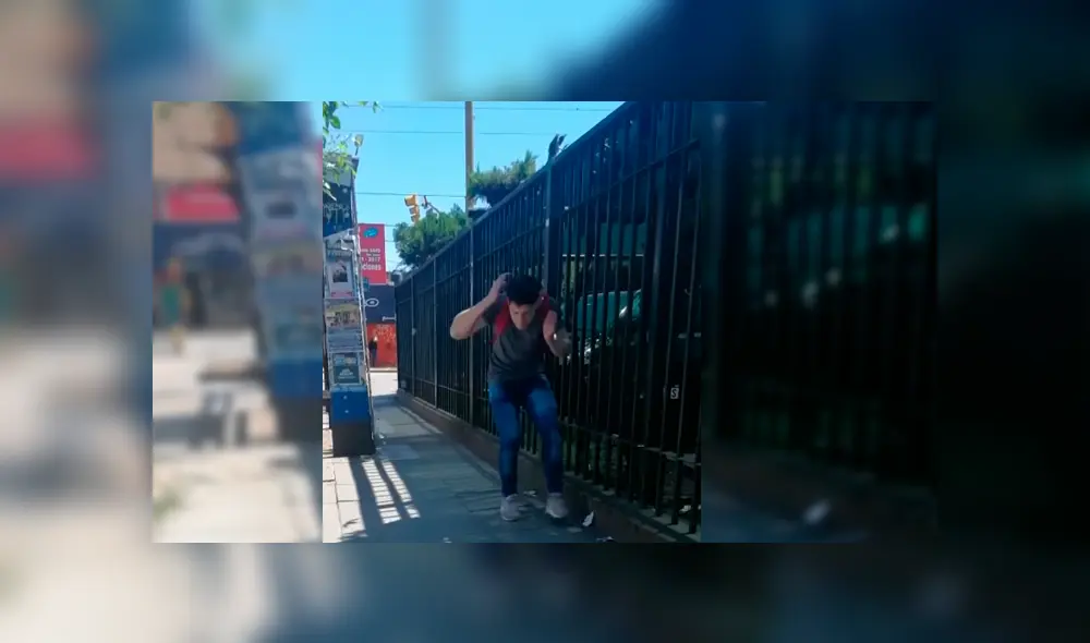 Video es viral en YouTube. Jóvenes captaron la extraña conducta del pájaro con todas las personas desprevenidas que pasaban por un campus universitario