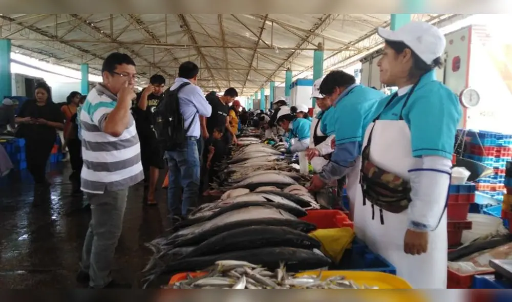 Mercado mayorista de Tacna ofrece 40 toneladas de pescado