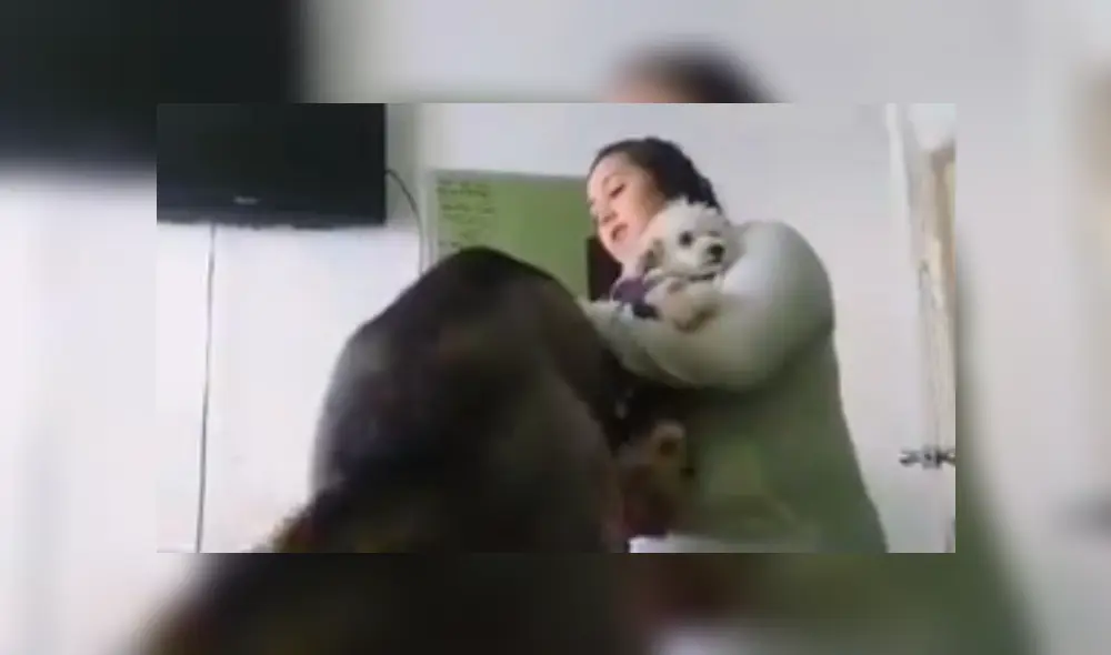 Video es viral en Facebook. El can mostró un peculiar comportamiento mientras su dueña le daba un sermón por haberle pegado a su otro perro.