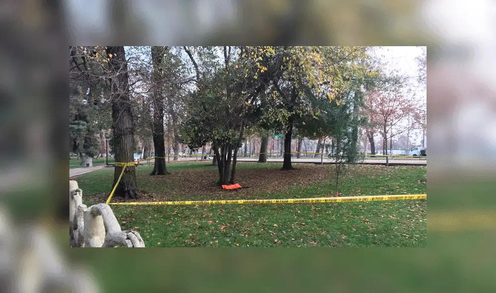Hallan restos de un bebé de cinco meses enterrados en un parque