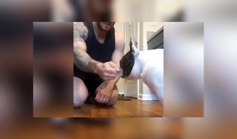 A través de Facebook se hizo viral la curiosa reacción de un can al ser víctima de un truco de magia de su dueño.