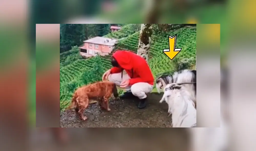 Desliza para ver todas las imágenes de Facebook.