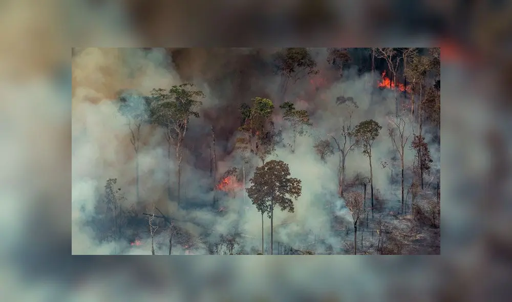 Incendio en el Amazonas