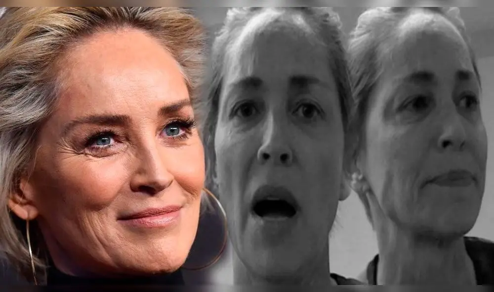 Sharon Stone señala que fue engañada para quitarse la ropa interior en “Bajos Instintos”