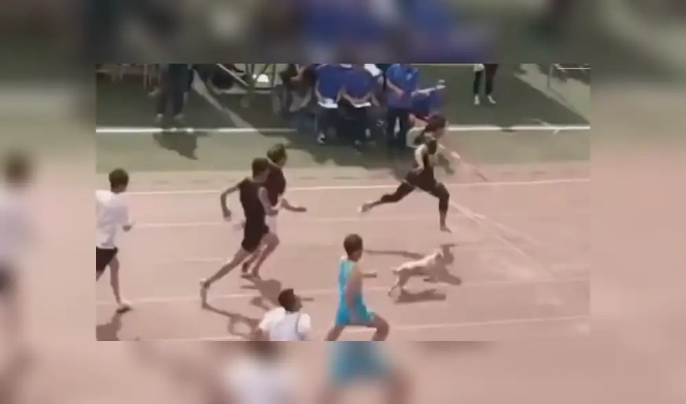 Youtube viral: Atletas quedan en ridículo por perro callejero que se coló en competencia [VIDEO]