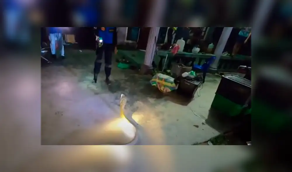 Desliza hacia la izquierda para ver las imágenes del viral de Facebook. Desliza hacia la izquierda para ver las imágenes del viral de Facebook.