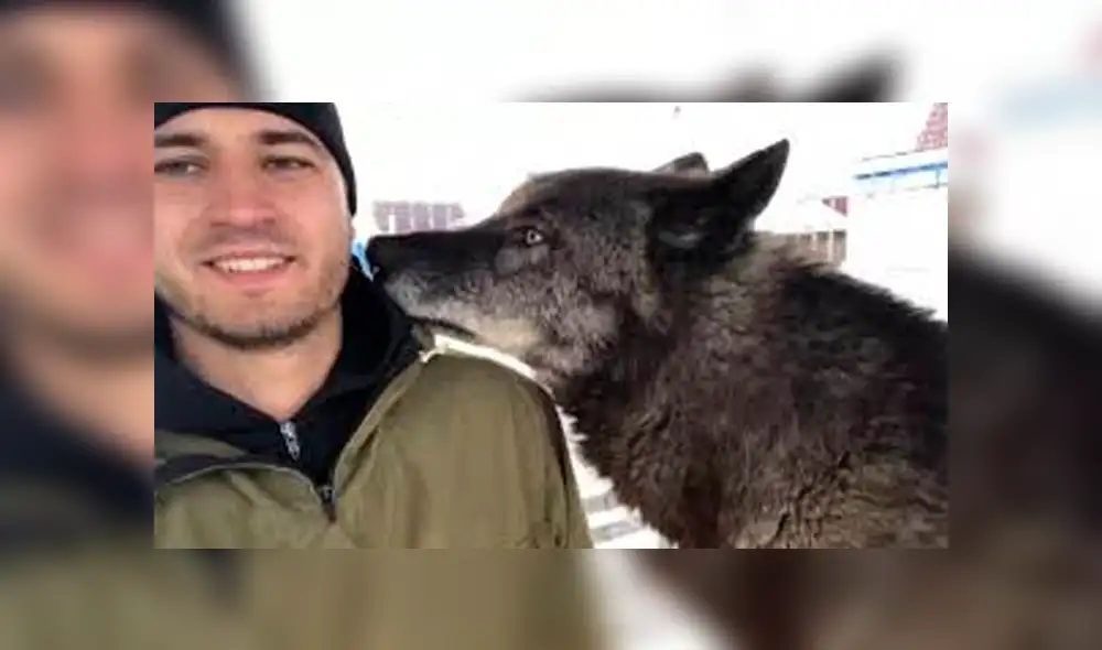 YouTube viral: chico busca tomarse selfie con enorme lobo negro y este reacciona así [VIDEO]