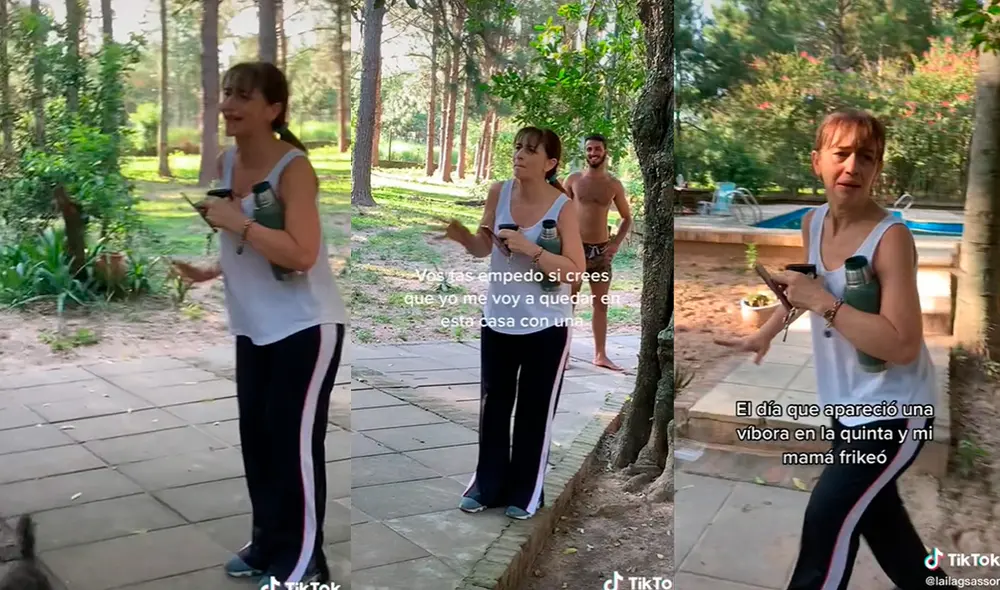 Este hecho sucedió en Perú. Foto: composición LR / TikTok / @lailagsasson