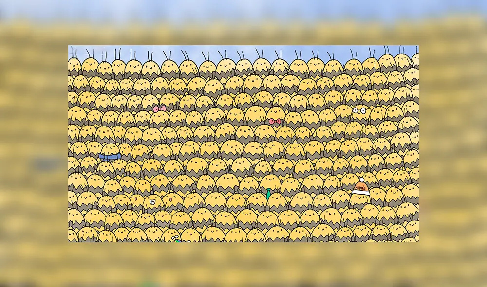 Desliza las imágenes para ver el lugar exacto en el que se escondió esta traviesa abeja reina. Fotocapturas: dudolf.com