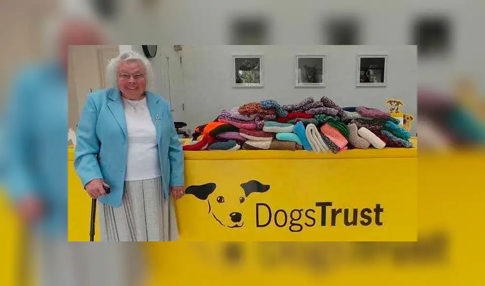 Abuela amante de los animales tejió más de 450 abrigos para salvar a perritos de la calle