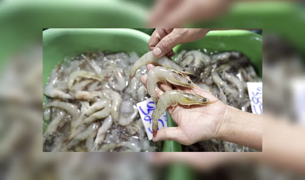 Bacteria 'comecarne' mata los tejidos y provoca graves complicaciones, explicaron los especialistas. Foto: EFE Bacteria 'comecarne' mata los tejidos y provoca graves complicaciones, explicaron los especialistas. Foto: EFE