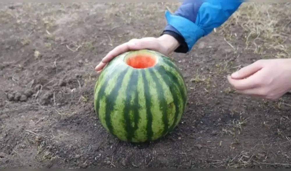 Facebook viral: realiza peligroso experimento con sandía y lava caliente que no debes imitar [VIDEO]