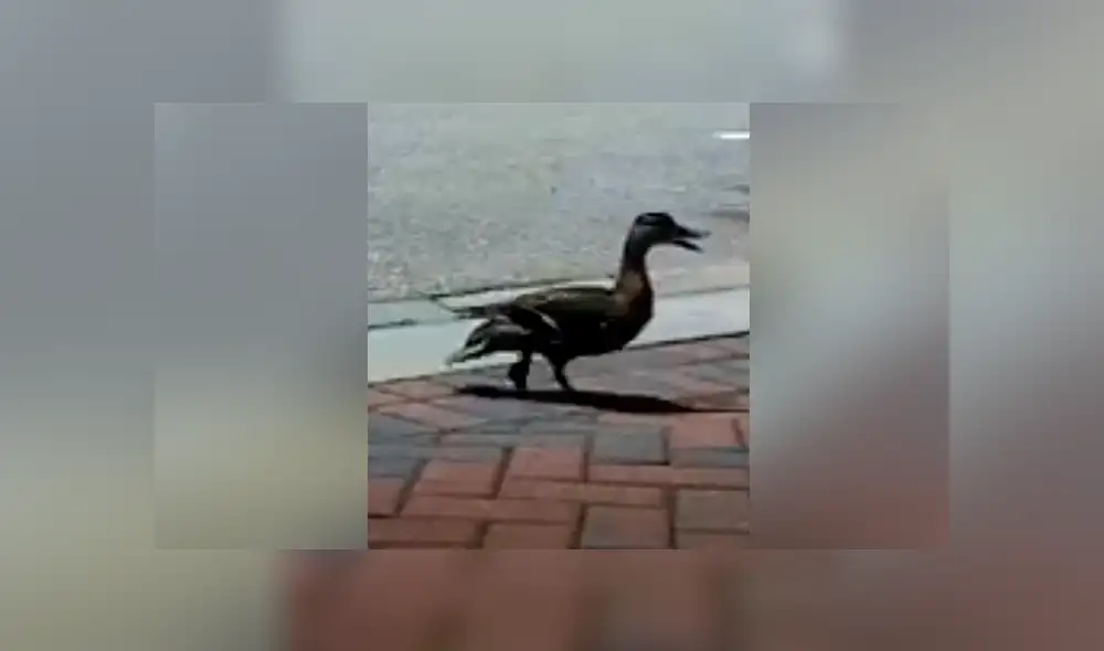 Desliza para ver los momento más impactantes del conmovedor video que se hizo viral en Facebook. Desliza para ver los momento más impactantes del conmovedor video que se hizo viral en Facebook.