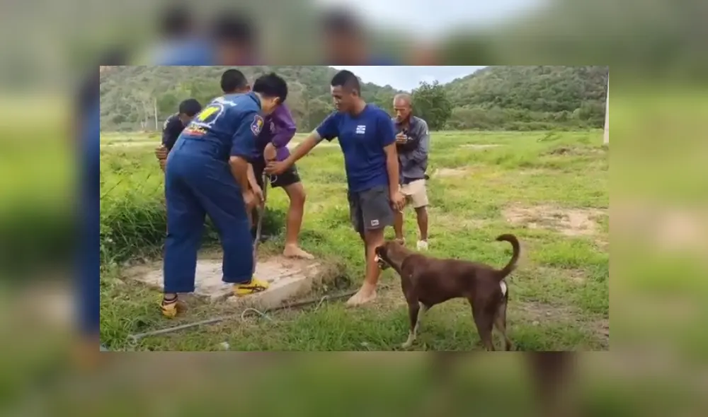 Video es viral en Facebook. El can fue captado esperando impaciente al lado de rescatistas, mientras intentaban sacar a su ‘amada’ de un profundo pozo de alcantarilla. Fotocaptura: YouTube