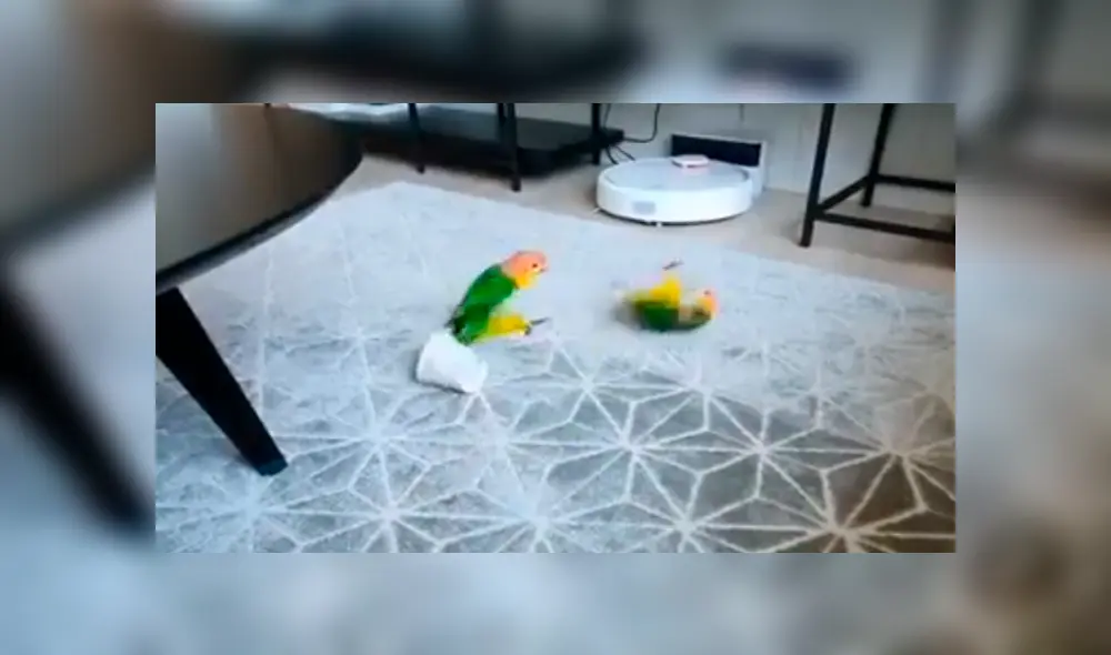 En Facebook, un pequeño logro no soportó que su hermano juegue con sus cosas y lo enfrentó. En Facebook, un pequeño logro no soportó que su hermano juegue con sus cosas y lo enfrentó.