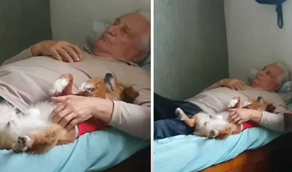 Desliza hacia la izquierda para ver las imágenes del video viral. Foto: captura de Facebook. Desliza hacia la izquierda para ver las imágenes del video viral. Foto: captura de Facebook.